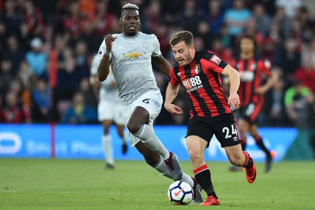 重现生机 重现生机