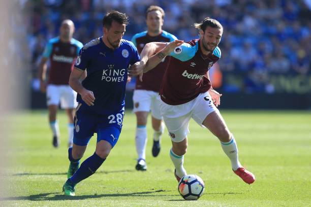 更多的观赏 更多的观赏