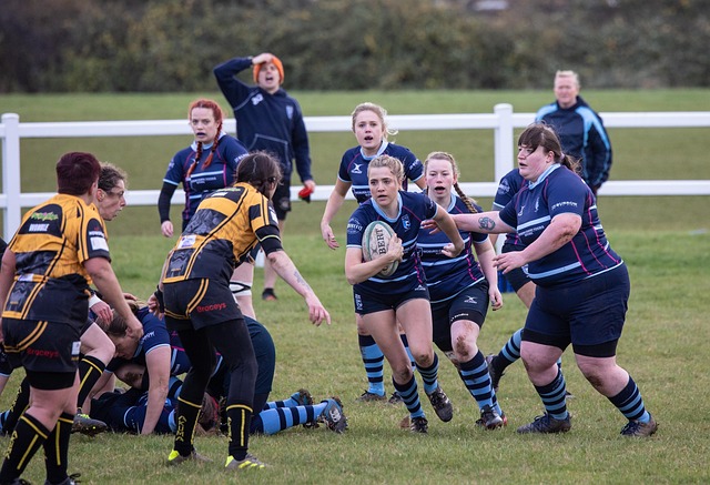 职业进程 职业进程